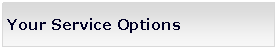Text Box: Your Service Options 