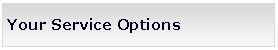 Text Box: Your Service Options 