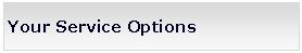 Text Box: Your Service Options 