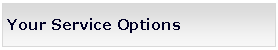 Text Box: Your Service Options 