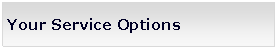 Text Box: Your Service Options 